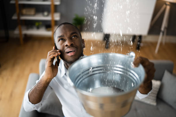 Best Flooded house restoration  in New Kensington, PA
