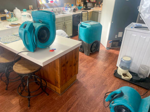 Best Local water damage restoration  in New Kensington, PA