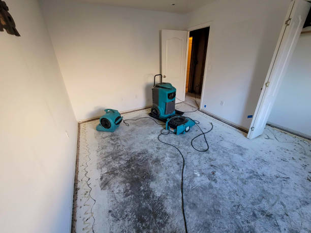 Best Flood restoration services  in New Kensington, PA