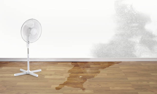 Best Water damage restoration company  in New Kensington, PA