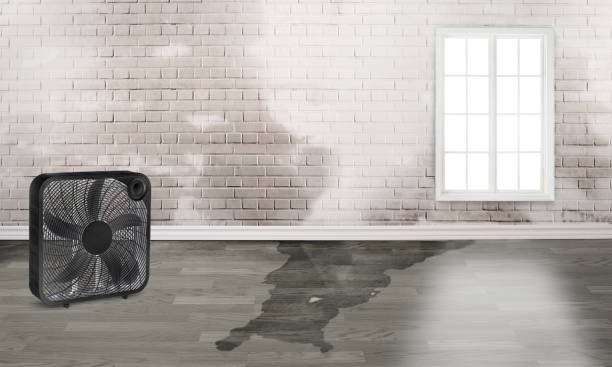 Best Water damage repair service  in New Kensington, PA