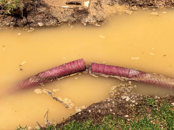 Best Flood damage cleanup  in New Kensington, PA