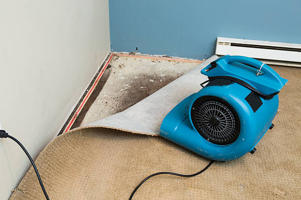 Best Water damage cleanup near me  in New Kensington, PA